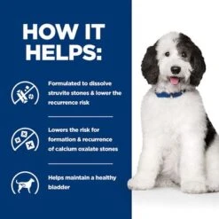 Hill's Prescription Diet Canine C/d Multicare Urinary Care - Chicken -EUKANUBA Shop pd cd dog bk26434m bk32581 bk28303 bk28465 how helps uk 6
