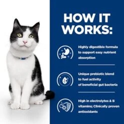 Hill's Prescription Diet Feline I/d Digestive Care - Chicken -EUKANUBA Shop pd id activbiome cat bk30994m bk30913 bk31379 bk30787 bk31600m bk31599m how works uk 3