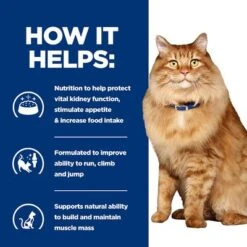 Hill’s Prescription Diet Feline K/d+Mobility Kidney+Joint Care -EUKANUBA Shop pd kd mobility cat bk24069m bk27533m how helps uk 6
