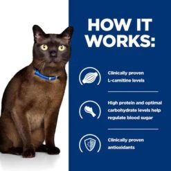 Hill's Prescription Diet Feline M/d Diabetes Care - Chicken -EUKANUBA Shop pd md cat bk24619m bk28760 how works uk 8