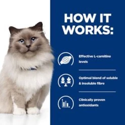 Hill's Prescription Diet Feline R/d Weight Reduction - Chicken 16 Hill's Prescription Diet Feline R/d Weight Reduction - Chicken -EUKANUBA Shop pd rd cat bk24502m bk29689 how works uk 3