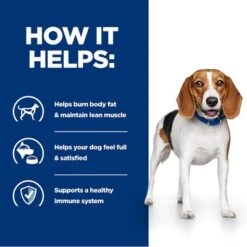 Hill's Prescription Diet Canine R/d Weight Reduction - Chicken 17 Hill's Prescription Diet Canine R/d Weight Reduction - Chicken -EUKANUBA Shop pd rd dog bk24536m bk27973 how helps uk 3