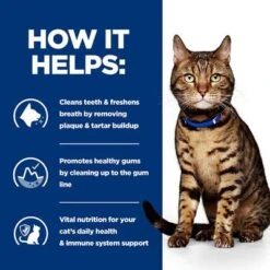 Hill's Prescription Diet Feline T/d Dental Care - Chicken -EUKANUBA Shop pd td cat bk24892m how helps uk 5