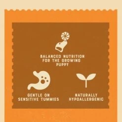 James Wellbeloved Puppy & Junior Pouches - Turkey With Rice 12 James Wellbeloved Puppy & Junior Pouches - Turkey With Rice -EUKANUBA Shop pla0nro4uxnbfypmditb 2048x 4