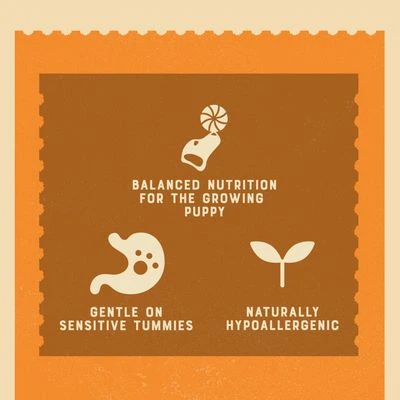 James Wellbeloved Puppy & Junior Pouches - Turkey With Rice 7 James Wellbeloved Puppy & Junior Pouches - Turkey With Rice - Image 5