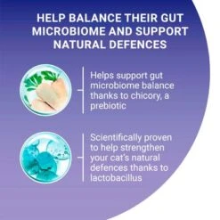 Purina ONE Coat & Hairball Chicken & Whole Grains Dry Cat Food -EUKANUBA Shop por coat hairball infographic 7