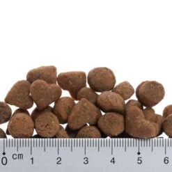 Feringa Adult Lamb & Chicken 9 Feringa Adult Lamb & Chicken -EUKANUBA Shop prod 01 6