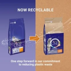 Purina ONE Adult Chicken & Whole Grains Dry Cat Food -EUKANUBA Shop puoedcgoaadolch22npd2plguk 9