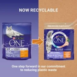 Purina ONE Coat & Hairball Chicken & Whole Grains Dry Cat Food -EUKANUBA Shop puoedcgoacoolch22npd1plguk 4