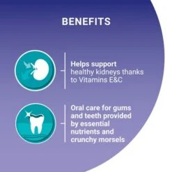 Purina ONE Senior 11+ Chicken & Whole Grains Dry Cat Food -EUKANUBA Shop puoedcgoas7sech22ingl1plguk 9 1