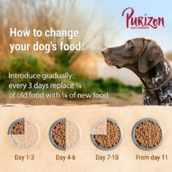 Purizon Fish Adult – Grain-free -EUKANUBA Shop purizon board feeding 1000x1000 4 uk 0