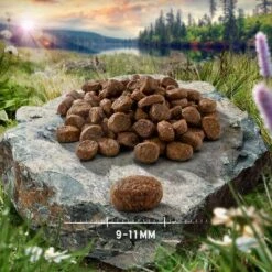 Purizon Adult Grain-Free Chicken With Fish -EUKANUBA Shop purizon cat adult chicken fish 9 11 mm p4 6