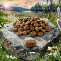 Purizon Adult Sterilised Grain-Free Turkey & Chicken -EUKANUBA Shop purizon cat adult steri turkey 9 11 mm p4 5