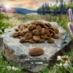 New Recipe: Purizon Grain-Free 80:20:0 Multibuys 2 X 12kg -EUKANUBA Shop purizon hund adult chicken 14 16 mm 4