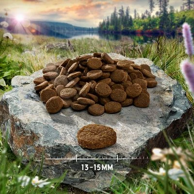 Purizon Single Meat Adult – Grain-Free Duck With Apple 4 Purizon Single Meat Adult – Grain-Free Duck With Apple - Image 2