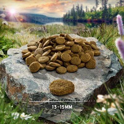 Purizon Single Meat Adult Dog - Grain-Free Salmon With Spinach 4 Purizon Single Meat Adult Dog - Grain-Free Salmon With Spinach - Image 2