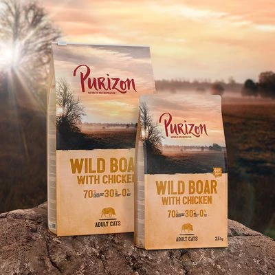 Purizon Adult Grain-Free Wild Boar With Chicken 4 Purizon Adult Grain-Free Wild Boar With Chicken - Image 2