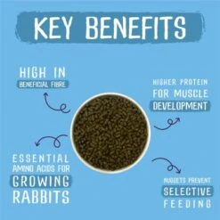 Burgess Excel Junior & Dwarf Rabbit Nuggets With Mint 12 Burgess Excel Junior & Dwarf Rabbit Nuggets With Mint -EUKANUBA Shop rabbit products benefits 12 2