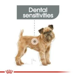 Royal Canin Mini Dental Care -EUKANUBA Shop rc ccn dentalmini cv eretailkit 1 7