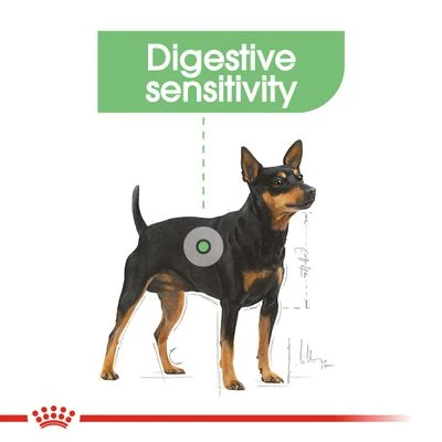 Royal Canin Mini Digestive Care 9 Royal Canin Mini Digestive Care - Image 7