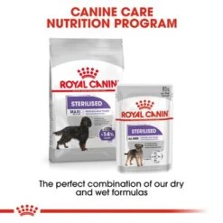 Royal Canin Maxi Sterilised -EUKANUBA Shop rc ccn sterilisedmaxi cv eretailkit 6 1