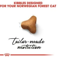 Royal Canin Norwegian Forest Cat Adult -EUKANUBA Shop rc fbn norwegianfc cv eretailkit 2 8