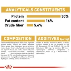 Royal Canin Norwegian Forest Cat Adult -EUKANUBA Shop rc fbn norwegianfc cv eretailkit 6 1