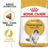 Royal Canin Norwegian Forest Cat Adult -EUKANUBA Shop rc fbn norwegianfc mv eretailkit 3