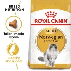 Royal Canin Norwegian Forest Cat Adult