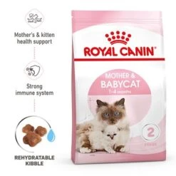 Royal Canin Mother & Babycat 15 Royal Canin Mother & Babycat -EUKANUBA Shop rc spt dry babycat b1 page 01 8