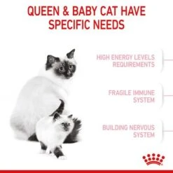 Royal Canin Mother & Babycat 16 Royal Canin Mother & Babycat -EUKANUBA Shop rc spt dry babycat b1 page 04 0