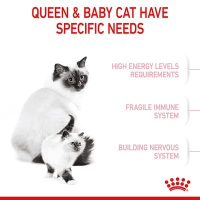 Royal Canin Mother & Babycat 6 Royal Canin Mother & Babycat - Image 4