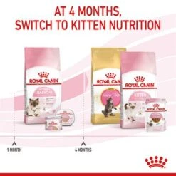 Royal Canin Mother & Babycat 23 Royal Canin Mother & Babycat -EUKANUBA Shop rc spt dry babycat b1 page 07 2