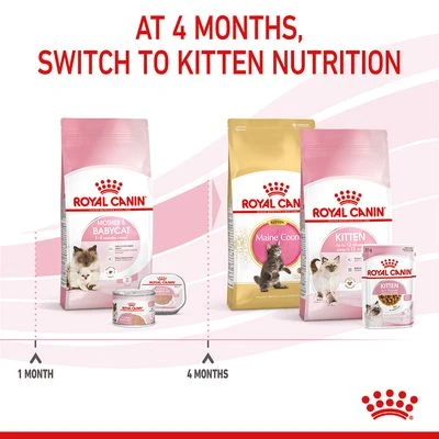Royal Canin Mother & Babycat 13 Royal Canin Mother & Babycat - Image 11