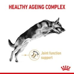 Royal Canin German Shepherd Adult 5+ -EUKANUBA Shop rc spt dry germshep5 page 3 1 8