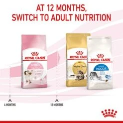 Royal Canin Kitten -EUKANUBA Shop rc spt dry kitten b1 page 08 2