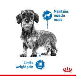 Royal Canin Mini Light Weight Care 15 Royal Canin Mini Light Weight Care -EUKANUBA Shop rc spt dry lightweightmini page 3 7