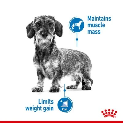 Royal Canin Mini Light Weight Care 8 Royal Canin Mini Light Weight Care - Image 6