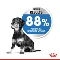 Royal Canin Mini Light Weight Care 13 Royal Canin Mini Light Weight Care -EUKANUBA Shop rc spt dry lightweightmini page 4 jpg 9