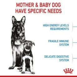 Royal Canin Maxi Starter Mother & Babydog -EUKANUBA Shop rc spt dry maxistart b1 page 05 0