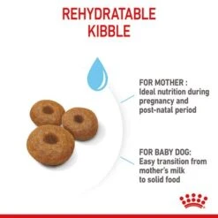 Royal Canin Maxi Starter Mother & Babydog -EUKANUBA Shop rc spt dry maxistart b1 page 07 0