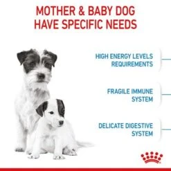 Royal Canin Mini Starter Mother & Babydog -EUKANUBA Shop rc spt dry ministart b1 page 05 4