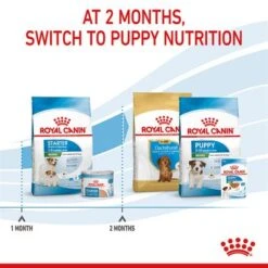 Royal Canin Mini Starter Mother & Babydog -EUKANUBA Shop rc spt dry ministart b1 page 08 0