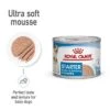 Royal Canin Starter Mousse Mother & Babydog -EUKANUBA Shop rc spt wet starter mousse can b1 page 01 5