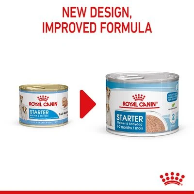 Royal Canin Starter Mousse Mother & Babydog 4 Royal Canin Starter Mousse Mother & Babydog - Image 2