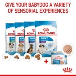 Royal Canin Starter Mousse Mother & Babydog 20 Royal Canin Starter Mousse Mother & Babydog -EUKANUBA Shop rc spt wet starter mousse can b1 page 07 8
