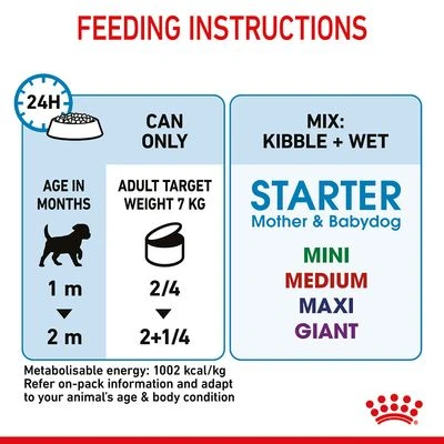 Royal Canin Starter Mousse Mother & Babydog 11 Royal Canin Starter Mousse Mother & Babydog - Image 9