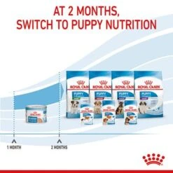 Royal Canin Starter Mousse Mother & Babydog 23 Royal Canin Starter Mousse Mother & Babydog -EUKANUBA Shop rc spt wet starter mousse can b1 page 10 5