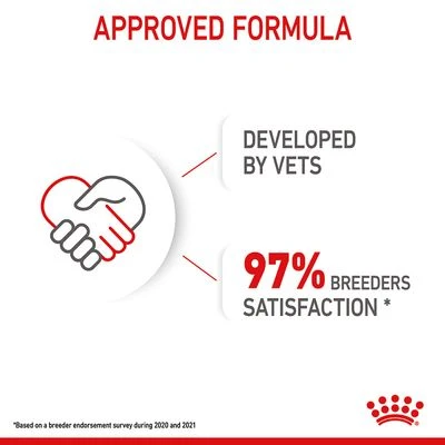 Royal Canin Starter Mousse Mother & Babydog 14 Royal Canin Starter Mousse Mother & Babydog - Image 12