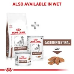 Royal Canin Veterinary Dog - Gastrointestinal -EUKANUBA Shop rc vet dry doggastro eretailkit b1 page 8 3